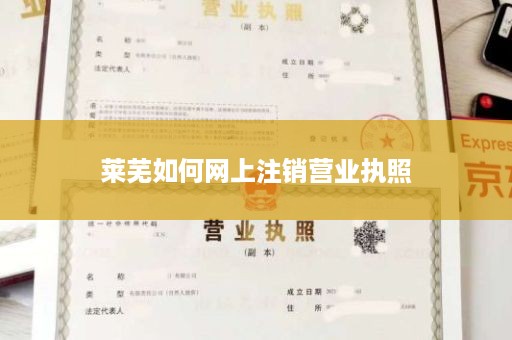 莱芜如何网上注销营业执照