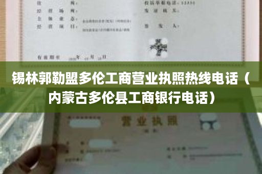 锡林郭勒盟多伦工商营业执照热线电话（内蒙古多伦县工商银行电话）