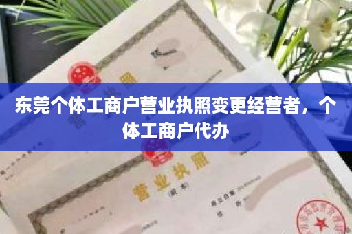 东莞个体工商户营业执照变更经营者，个体工商户代办