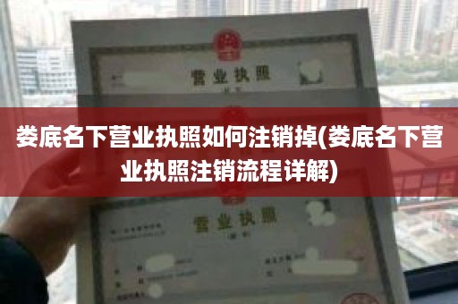 娄底名下营业执照如何注销掉(娄底名下营业执照注销流程详解)