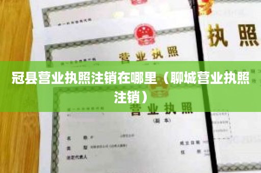 冠县营业执照注销在哪里（聊城营业执照注销）