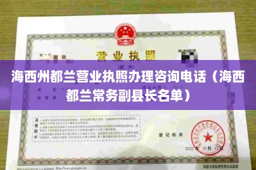 海西州都兰营业执照办理咨询电话（海西都兰常务副县长名单）