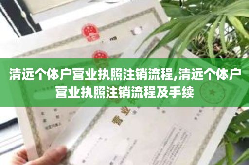 清远个体户营业执照注销流程,清远个体户营业执照注销流程及手续