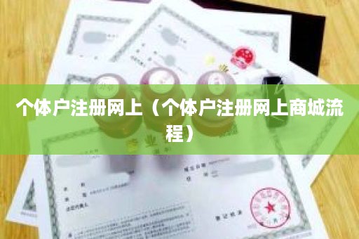 个体户注册网上（个体户注册网上商城流程）