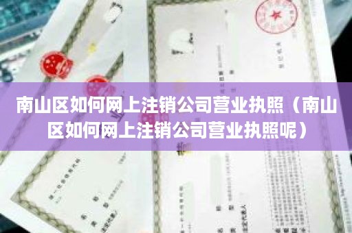 南山区如何网上注销公司营业执照（南山区如何网上注销公司营业执照呢）