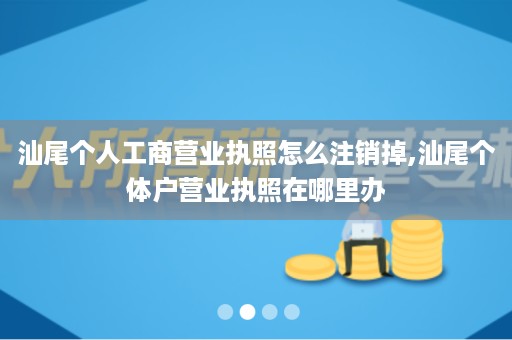 汕尾个人工商营业执照怎么注销掉,汕尾个体户营业执照在哪里办