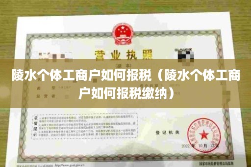 陵水个体工商户如何报税（陵水个体工商户如何报税缴纳）