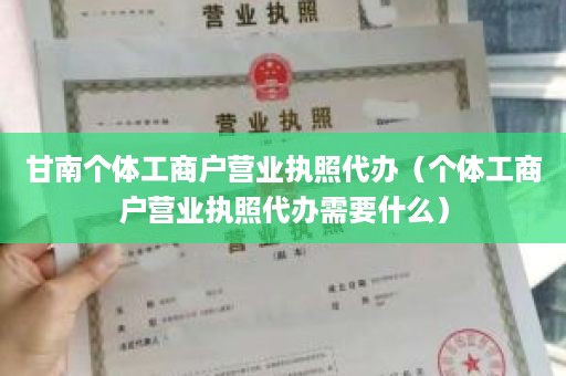 甘南个体工商户营业执照代办（个体工商户营业执照代办需要什么）