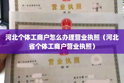 河北个体工商户怎么办理营业执照（河北省个体工商户营业执照）