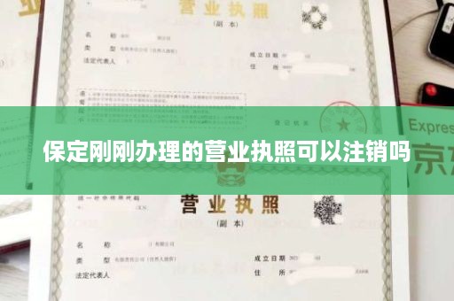 保定刚刚办理的营业执照可以注销吗