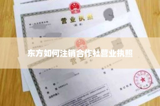 东方如何注销合作社营业执照