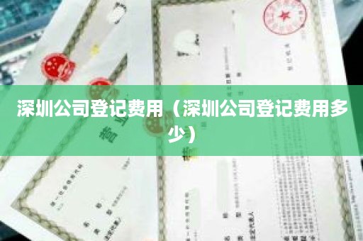 深圳公司登记费用（深圳公司登记费用多少）