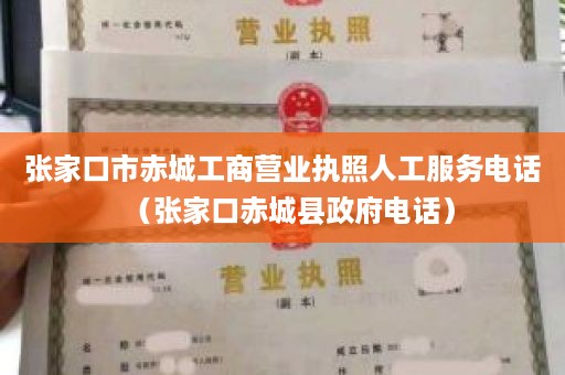 张家口市赤城工商营业执照人工服务电话（张家口赤城县政府电话）