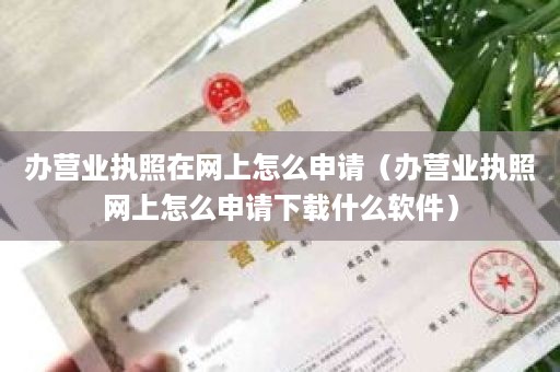 办营业执照在网上怎么申请（办营业执照网上怎么申请下载什么软件）