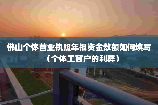 佛山个体营业执照年报资金数额如何填写（个体工商户的利弊）