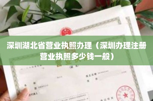 深圳湖北省营业执照办理（深圳办理注册营业执照多少钱一般）