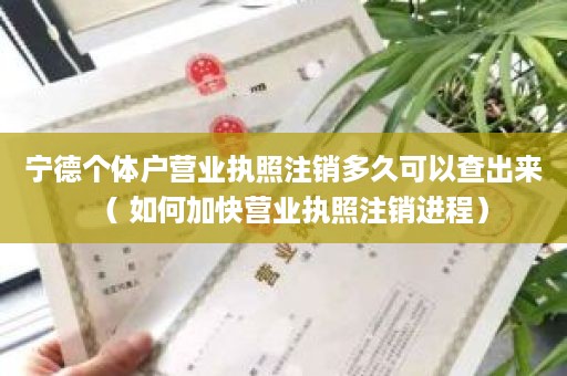 宁德个体户营业执照注销多久可以查出来（ 如何加快营业执照注销进程）