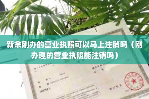 新余刚办的营业执照可以马上注销吗（刚办理的营业执照能注销吗）