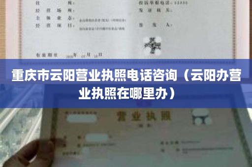 重庆市云阳营业执照电话咨询（云阳办营业执照在哪里办）