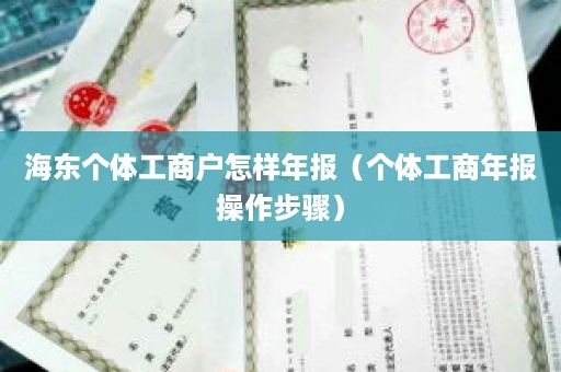 海东个体工商户怎样年报（个体工商年报操作步骤）