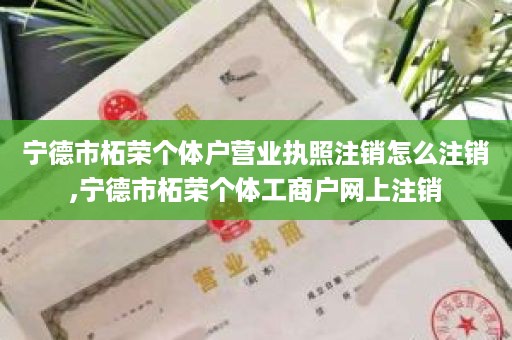 宁德市柘荣个体户营业执照注销怎么注销,宁德市柘荣个体工商户网上注销