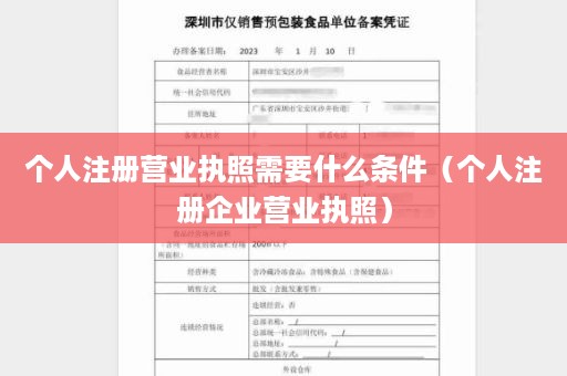 个人注册营业执照需要什么条件（个人注册企业营业执照）