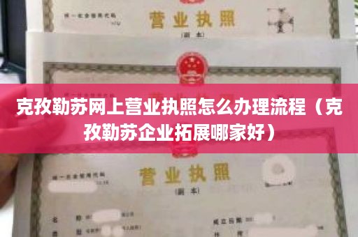 克孜勒苏网上营业执照怎么办理流程（克孜勒苏企业拓展哪家好）