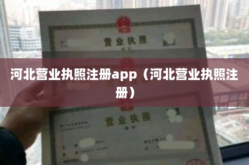 河北营业执照注册app（河北营业执照注册）