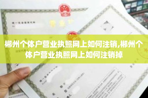 郴州个体户营业执照网上如何注销,郴州个体户营业执照网上如何注销掉