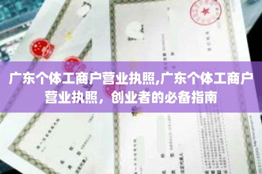 广东个体工商户营业执照,广东个体工商户营业执照，创业者的必备指南