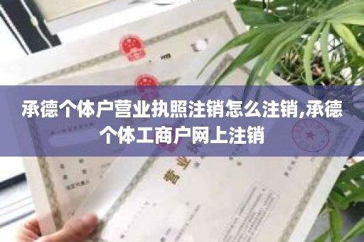 承德个体户营业执照注销怎么注销,承德个体工商户网上注销