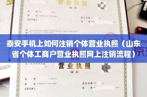 泰安手机上如何注销个体营业执照（山东省个体工商户营业执照网上注销流程）