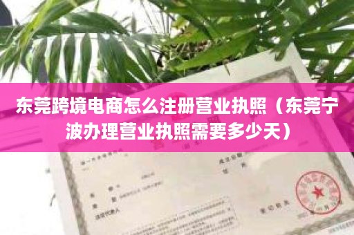 东莞跨境电商怎么注册营业执照（东莞宁波办理营业执照需要多少天）