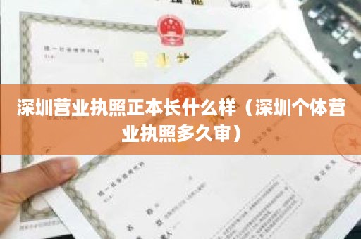 深圳营业执照正本长什么样（深圳个体营业执照多久审）