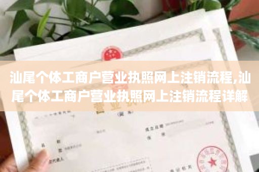 汕尾个体工商户营业执照网上注销流程,汕尾个体工商户营业执照网上注销流程详解