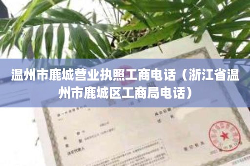 温州市鹿城营业执照工商电话（浙江省温州市鹿城区工商局电话）