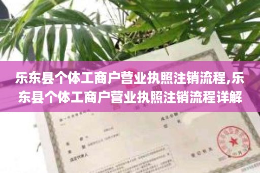 乐东县个体工商户营业执照注销流程,乐东县个体工商户营业执照注销流程详解