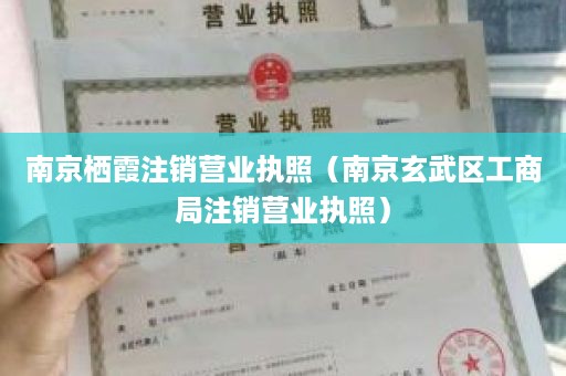 南京栖霞注销营业执照（南京玄武区工商局注销营业执照）