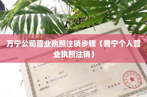 万宁公司营业执照注销步骤（普宁个人营业执照注销）