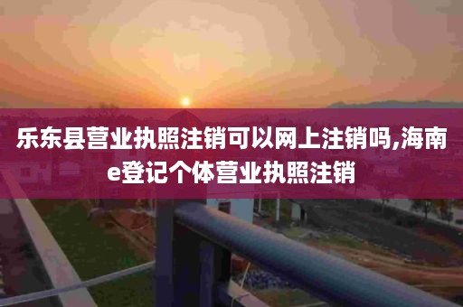 乐东县营业执照注销可以网上注销吗,海南e登记个体营业执照注销