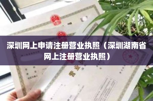 深圳网上申请注册营业执照（深圳湖南省网上注册营业执照）