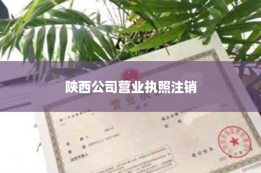 陕西公司营业执照注销