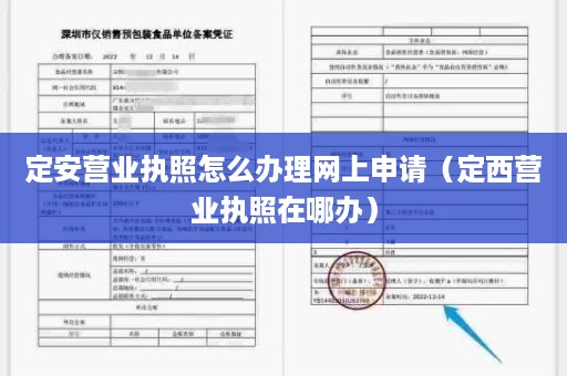 定安营业执照怎么办理网上申请（定西营业执照在哪办）