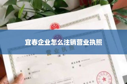 宜春企业怎么注销营业执照