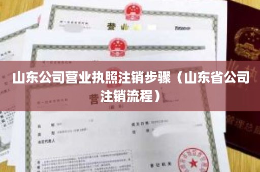 山东公司营业执照注销步骤（山东省公司注销流程）