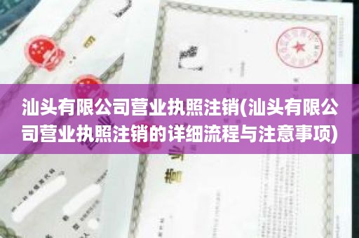 汕头有限公司营业执照注销(汕头有限公司营业执照注销的详细流程与注意事项)