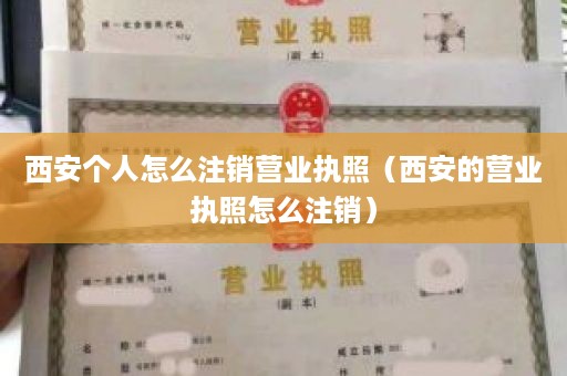 西安个人怎么注销营业执照（西安的营业执照怎么注销）