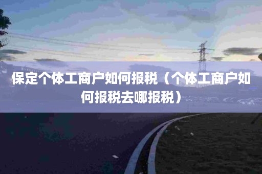 保定个体工商户如何报税（个体工商户如何报税去哪报税）