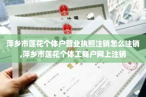 萍乡市莲花个体户营业执照注销怎么注销,萍乡市莲花个体工商户网上注销