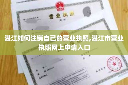 湛江如何注销自己的营业执照,湛江市营业执照网上申请入口